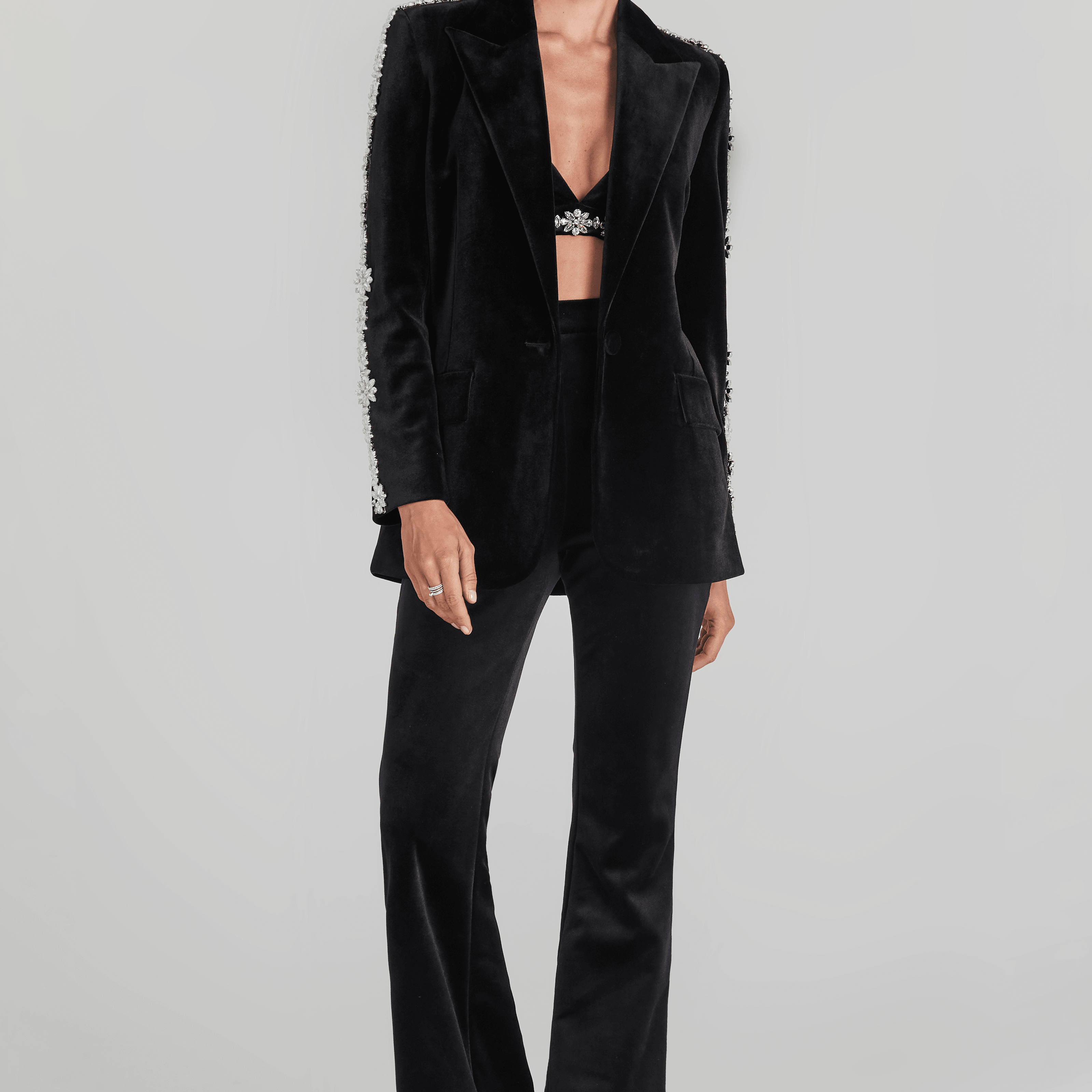 Lumina Velvet Blazer Ceket